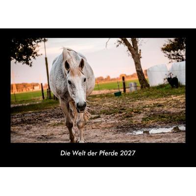 Die Welt der Pferde 2027 Fotokalender DIN A3