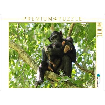 CALVENDO Puzzle Schimpansen im Mahagoni-Urwald | 1000 Teile Lege-Größe 64x48cm Foto-Puzzle für glückliche Stunden