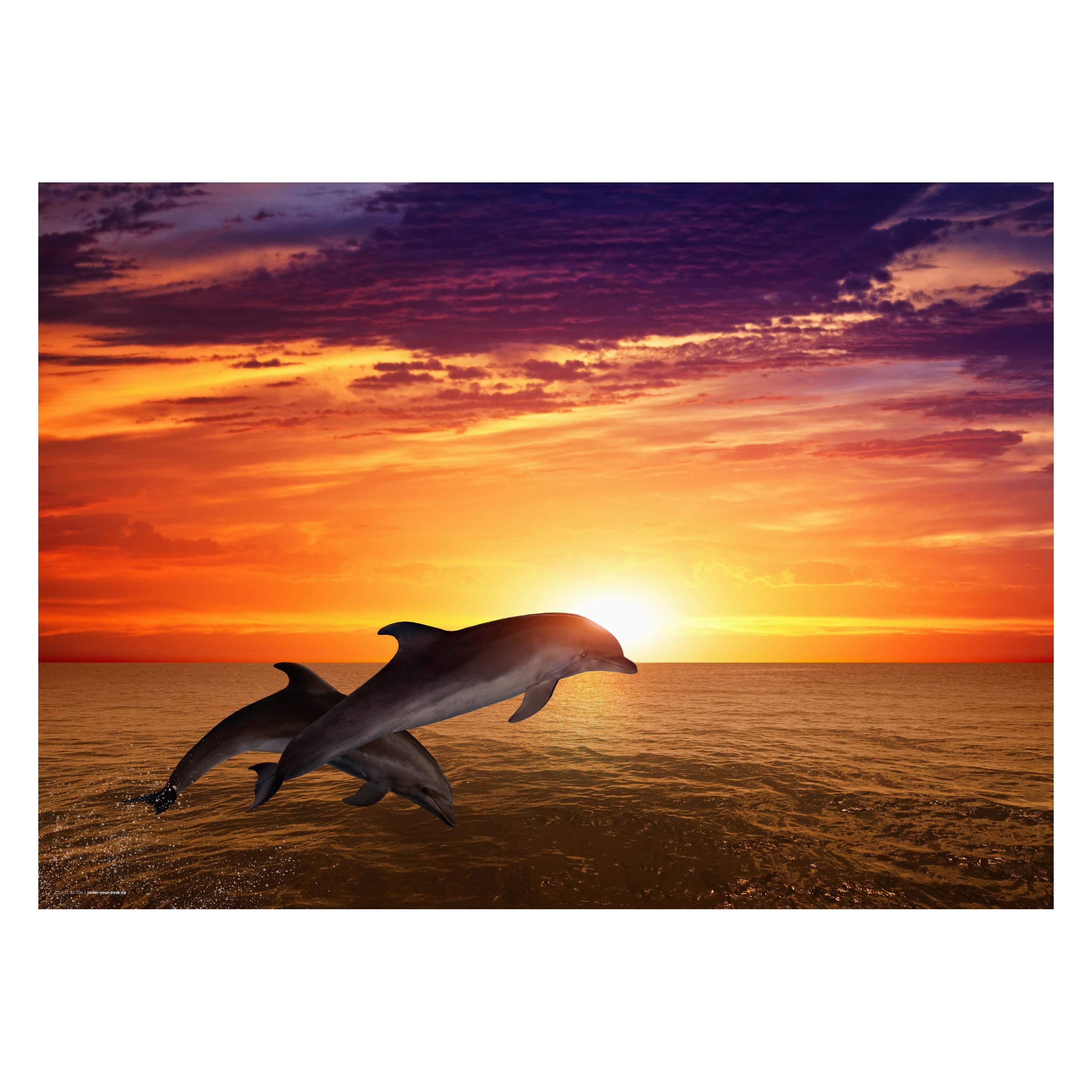 CoverYourDesk Schreibtischunterlage Delfine im Sonnenuntergang (21557264)