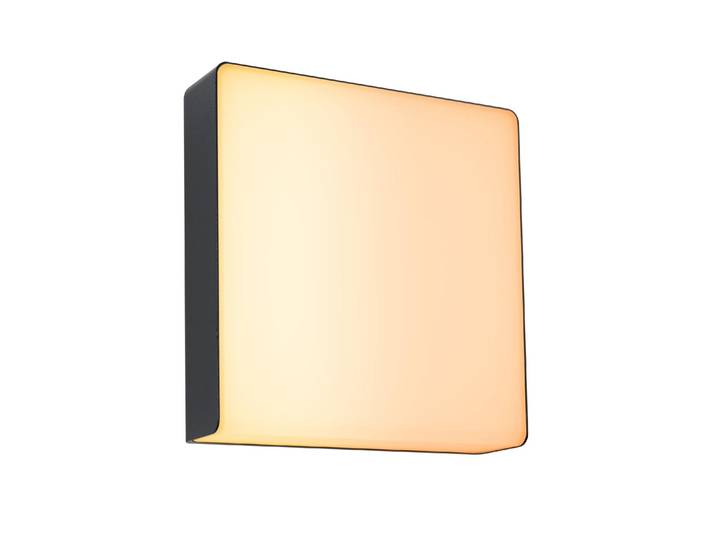 PAULMANN Aussen-Wandleuchte LED Aussenwandleuchte Azalena, Smart Home Zigbee 3.0 , silber, H: 25cm, Leuchten, Aussen-Wandleuchte