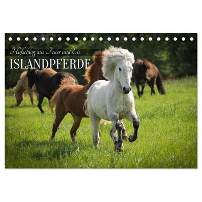 Islandpferde - Hufschlag aus Feuer und Eis (Tischkalender 2027 DIN A5 quer), CALVENDO Monatskalender