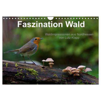 Faszination Wald. Waldimpressionen aus Nordhessen von Lutz Klapp (Wandkalender 2026 DIN A4 quer), CALVENDO Monatskalender