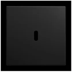Busch-Jaeger Zentralscheibe 6479-915 2CKA006400A0465