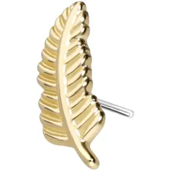 14 Karat Gold Aufsatz mit Titan Push Pin FEDER