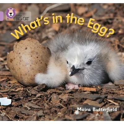 What's in the Egg?, Taschenbuch von Moira Butterfield, HarperCollins, 978-0-00-751260-7
