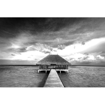Fototapete PAPERMOON "Haus auf dem Wasser Schwarz & Weiß", schwarz (schwarz, weiß), B:4,5m L:2,8m, Vlies, Tapeten