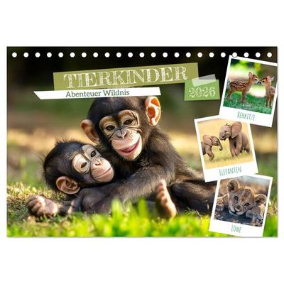 TIERKINDER Abenteuer Wildnis (Tischkalender 2026 DIN A5 quer), CALVENDO Monatskalender