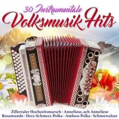 30 instrumentale Volksmusik Hits - Various, CD