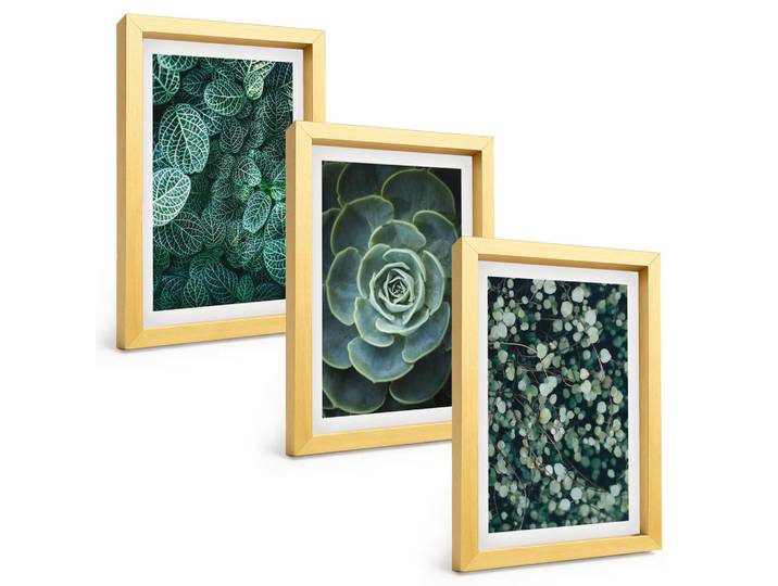 Tulup Bilder SET 3er Set - 20x30 cm Goldrahmen - Sukkulenten, Goldfarben, Kunststoff, Rechteckig, 20x30 cm, gerahmt, Bilder & Rahmen, Bilder