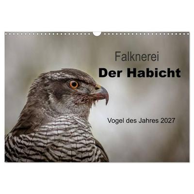 Falknerei Der Habicht (Wandkalender 2027 DIN A3 quer), CALVENDO Monatskalender