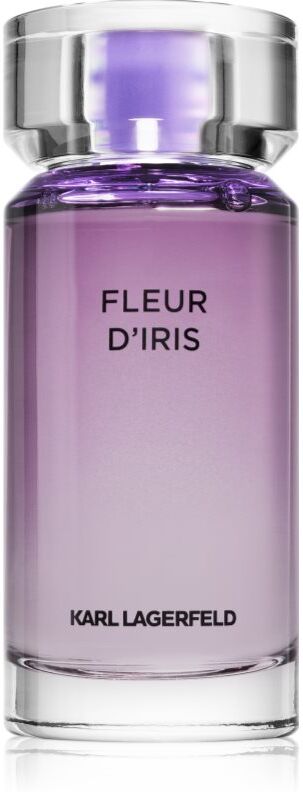 Karl Lagerfeld Fleur D'Iris Eau de Parfum pour femme 100 ml