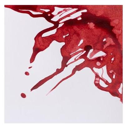 Winsor & Newton Drawing Ink 14ml Brick Red 040 (14 ml) (1005040)