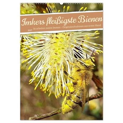 Imkers fleißigste Bienen - So arbeiten meine Immen – Originalaufnahmen aus erster Hand (Wandkalender 2027 DIN A2 hoch), CALVENDO Monatskalender