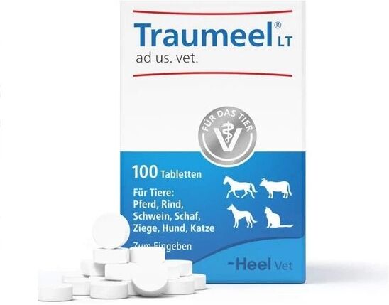 Alle Marken und mehr Heel Traumeel LT ad us. vet. Tabletten (100 Stück)