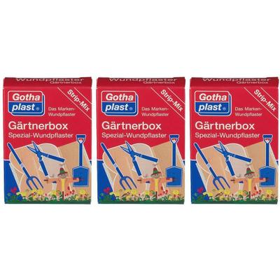 Gothaplast Gärtnerbox Pflaster x3 3x1 St