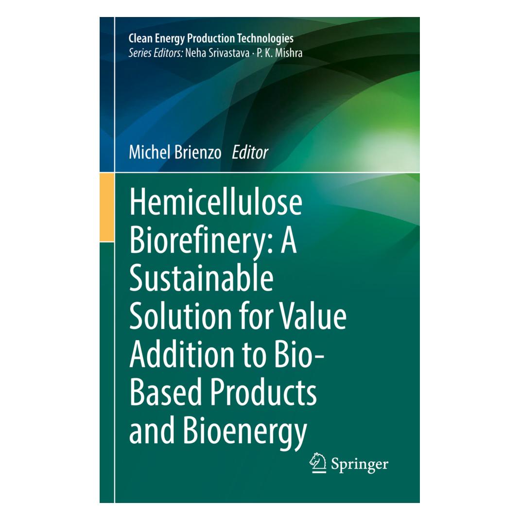 Springer Hemicellulose Biorefinery: A Sustainable Solution for Value Addition to Bio-Based Products and Bioen (Englisch, Softcover, Michel Brienzo) (56914350)