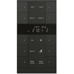 Busch-Jaeger KNX 2CKA006330A0064 Raumtemperaturregler mit Hygrostat SBC/U10.0.11-885
