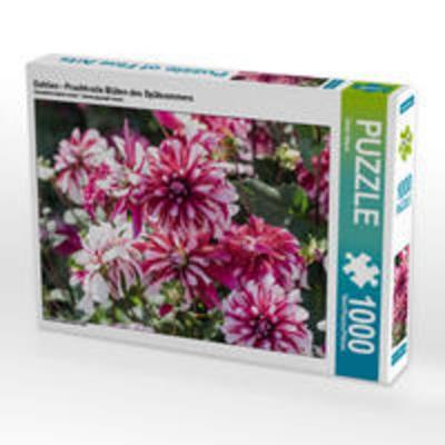 CALVENDO Puzzle Dahlien - Prachtvolle Blüten des Spätsommers 1000 Teile Lege-Größe 64 x 48 cm Foto-Puzzle Bild von Dieter Meyer