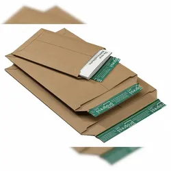 Progress 100x Versandtaschen aus stabiler Vollpappe PP V04.05 255x342x -30mm C4 braun
