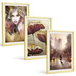 BILDER SET 3er Set - 40x60 cm Goldrahmen - Abstraktes Porträt einer Frau mit Blumen und Regen