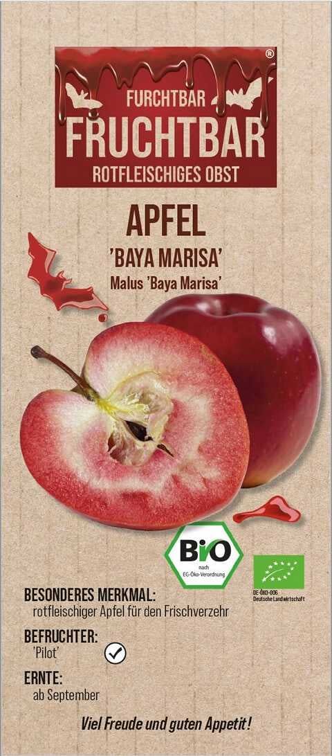Pflanzen Fruchtbar Obstbaum Apfel Baya Marisa H 150 cm 29 cm Topf