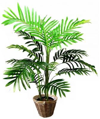 Admired by Nature 3' Artificial Paradise Palm Tree Plants (Set of 2)