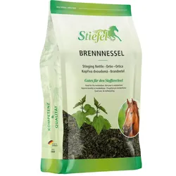 Brennnessel