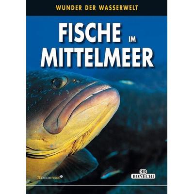 Fische im Mittelmeer, Gebundene Ausgabe von Andrea Ghisotti, Paulsen Buchimport, 978-3-944027-35-7