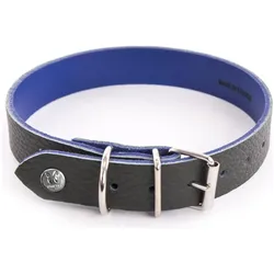 Martin Sellier Allure (Hund, Spazieren), Halsband + Leine