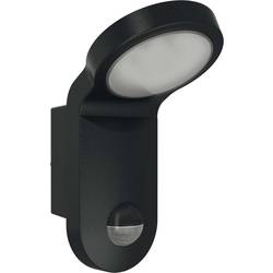 ESYLUX AOL 100 LED 5K sw EL10750014 Wandleuchte mit Bewegungsmelder LED fest eingebaut 14 W LED Schwarz
