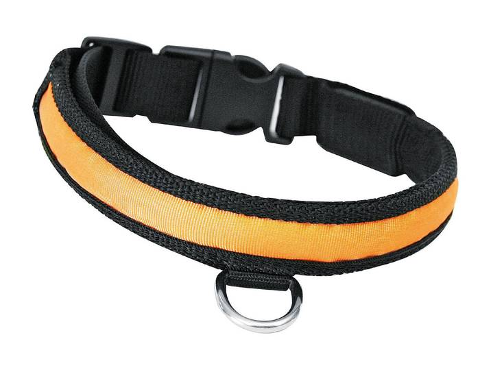 Swisspet Nylon Blink- und Leuchthalsband 25/550-700