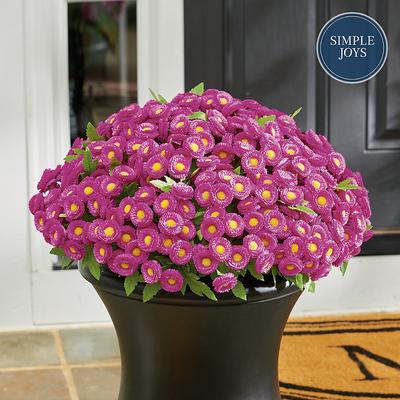 Mum Urn Filler - Purple - Grandin Road
