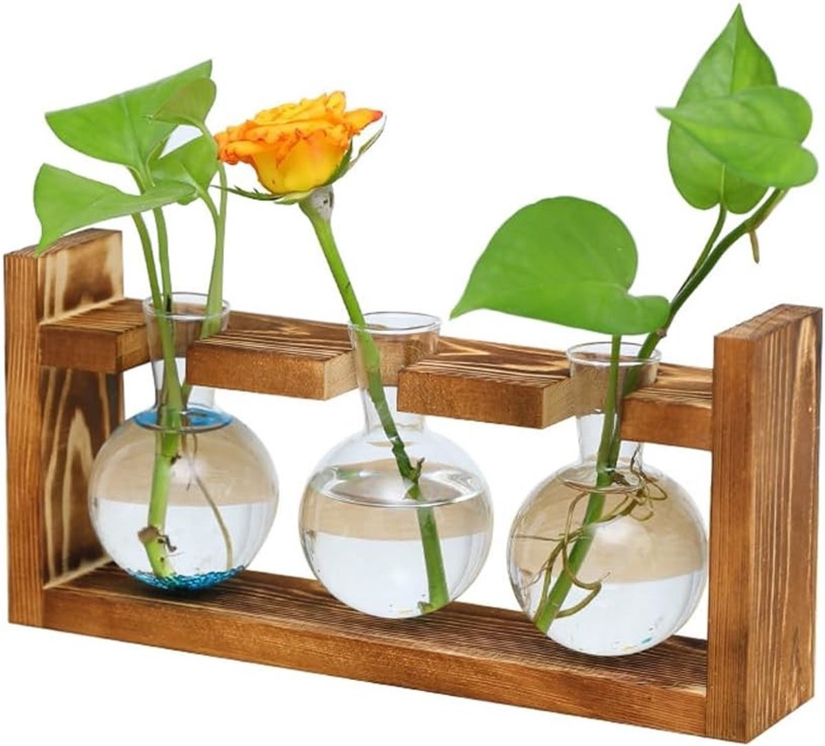 Glazen Testbuis Vaas voor Planten en Propagatiestation met Stand voor Thuis en Kantoor Decoratie