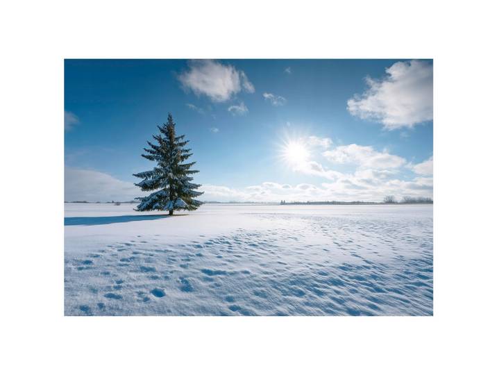 FOTOTAPETE Feld Natur Blau 200x140 cm