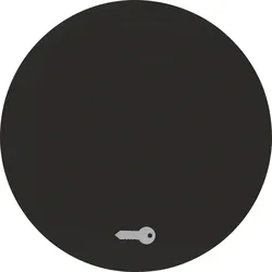 Berker Wippe schwarz/glänzend mit Aufdruck Tür 16202015