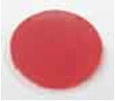 Eaton Lentille de bouton plate rouge avec inscription M22-XDL-R-X0 (218159)