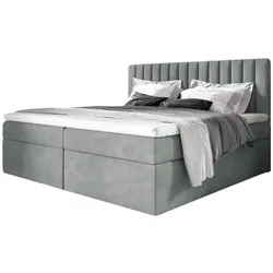 BOXBETT Linnea