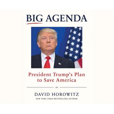 BIG AGENDA 4D - David Horowitz, CD, 9781520073439