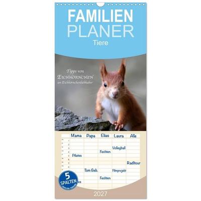 Familienplaner 2027 - Tipps von Eichhörnchen an Eichhörnchenliebhaber mit 5 Spalten (Wandkalender, 21 x 45 cm) CALVENDO