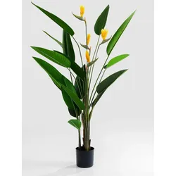 KARE DESIGN Deko Pflanze 51684 Paradise Flowers Kunststoff Grün