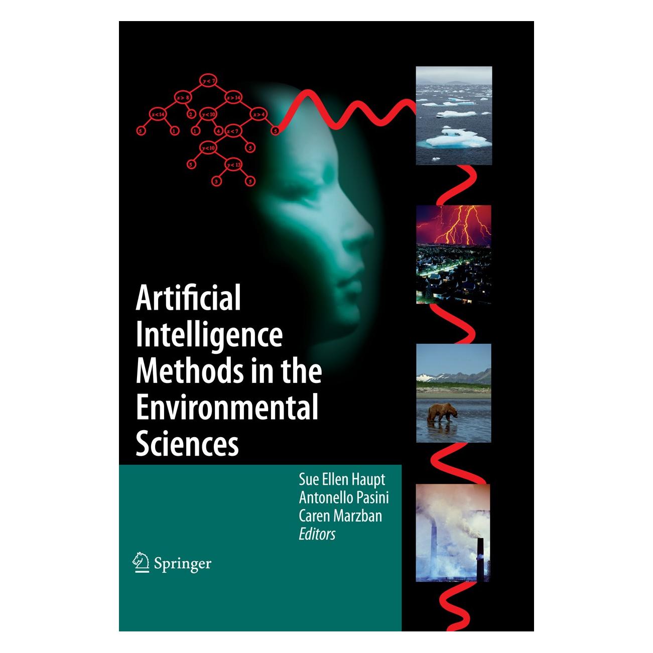 Springer Artificial Intelligence Methods (9781402091179)