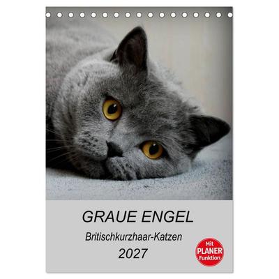 Graue Engel - Britischkurzhaar-Katzen (Tischkalender 2027 DIN A5 hoch), CALVENDO Monatskalender