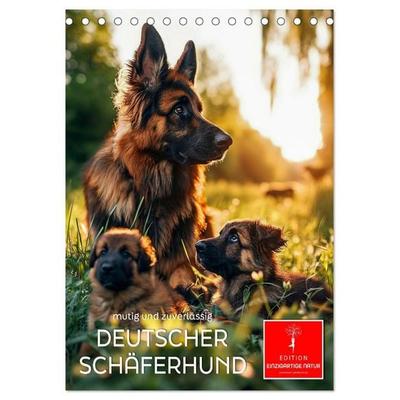 Deutscher Schäferhund - mutig und zuverlässig (Tischkalender 2027 DIN A5 hoch), CALVENDO Monatskalender