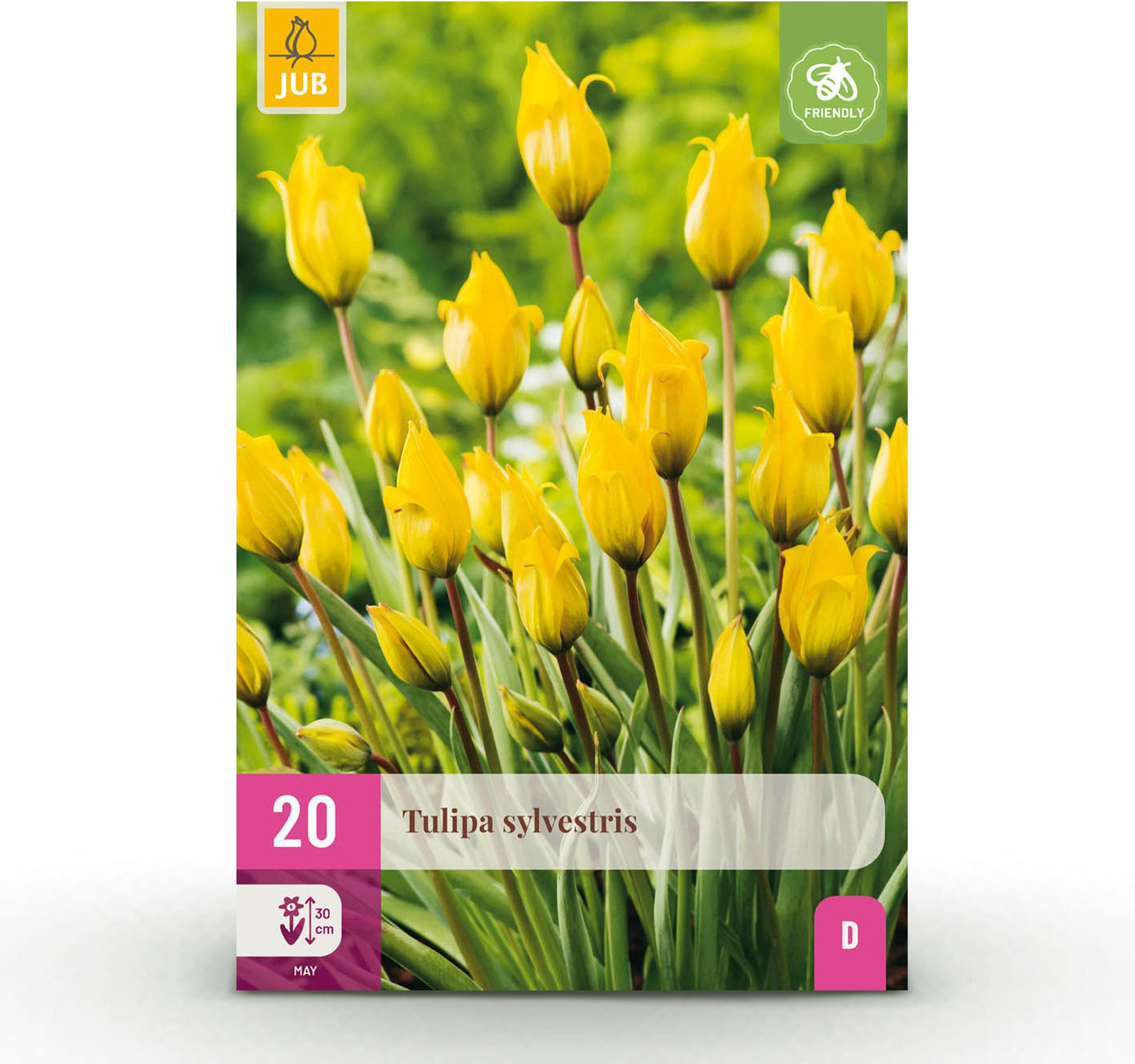 Tulp Sylvestris Geel - 20 stuks - Bolmaat 5/6 - Tuinplant van Pflanzenboutique