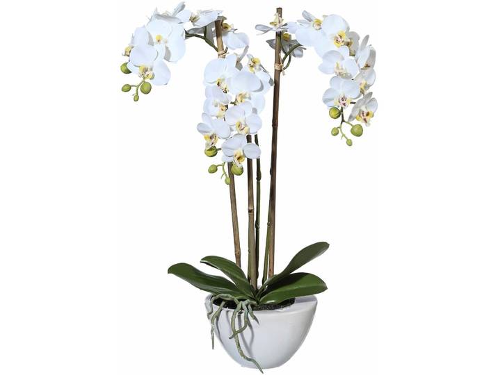 Kunstpflanze CREATIV GREEN Mini Orchidee , weiß, B:14cm H:51cm T:8,5cm, Kunstpflanzen, Kunstpflanze