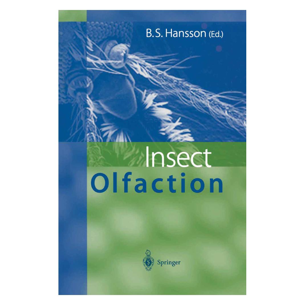 Springer Insect Olfaction (Englisch, Softcover, Bill S. Hansson) (55376872)