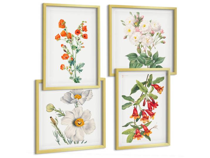 Tulup Bilder SET 4er Set - 50x50 cm & 40x60 cm Goldrahmen - Retro-Blumenmalerei, Goldfarben, Kunststoff, Rechteckig, 50x50 cm, Fotografie, Bilder & Rahmen, Bilder