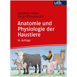 Anatomie und Physiologie der Haustiere, Fachbücher von Gotthold Gäbel, Helga Pfannkuche