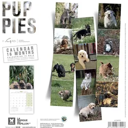 Martin Sellier, Kalender, Chiots