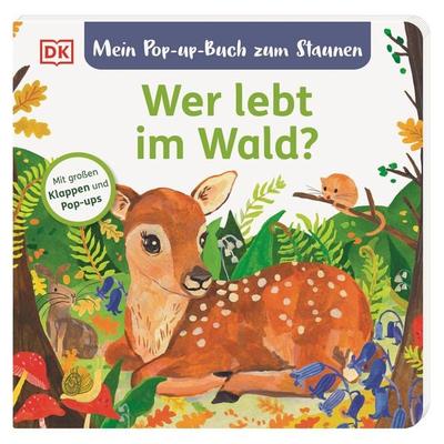 Mein Pop-up-Buch zum Staunen. Wer lebt im Wald?, Gebundene Ausgabe von Sandra Grimm, DK Verlag Dorling Kindersley, 978-3-8310-4716-1